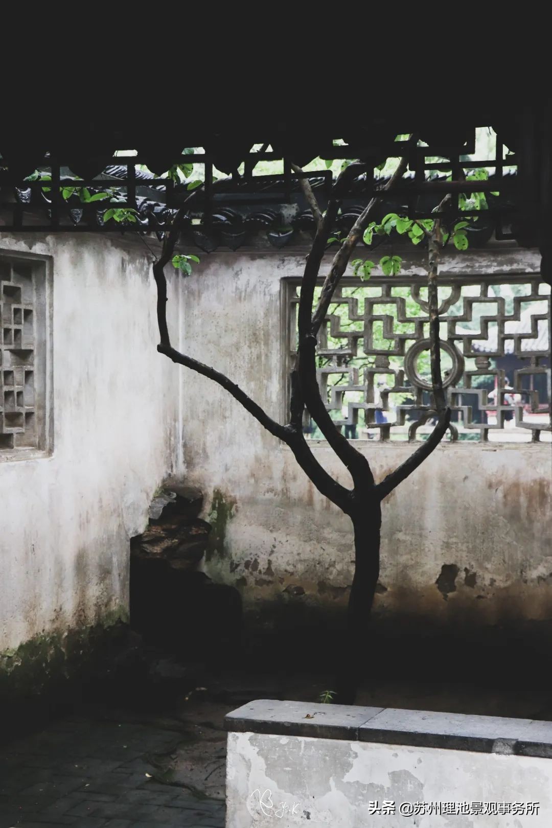 给我讲解一下拙政园的来历,拙政园最完整的讲解