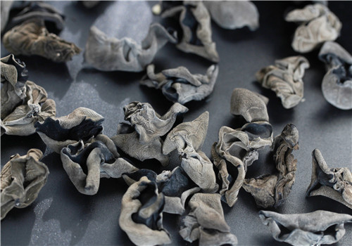 黑木耳种植技术椴树,露天种植黑木耳技术视频