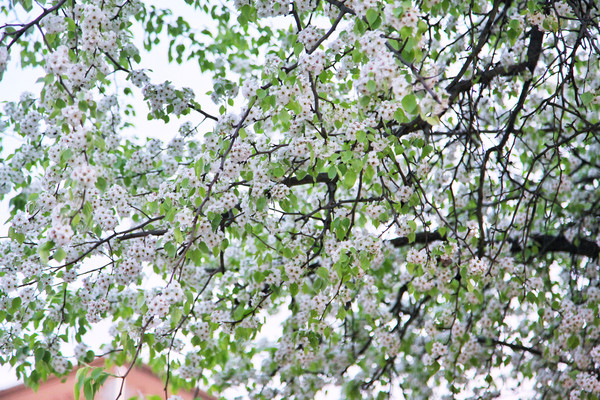 皇藏峪藏的到底是刘秀还是刘邦,汉高祖刘邦起家之地
