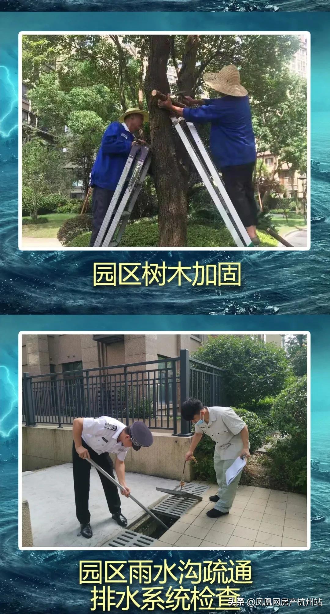 烟花过境商丘,烟花过境安庆