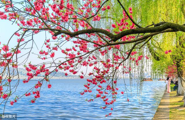 唐诗联句100篇,唐诗三百首优秀句段摘抄加赏析