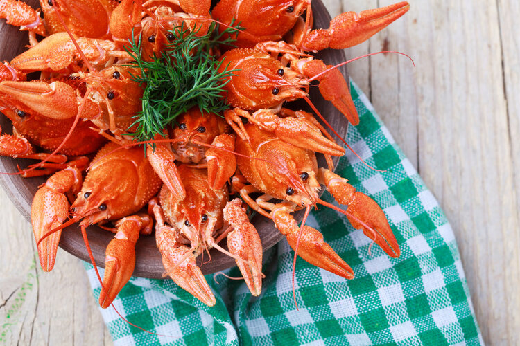 小龙虾的屎是黄的吗,小龙虾的头里面是黄还是屎