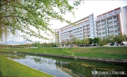 征集志愿广东专科有哪些学校,广东专科征集志愿学校