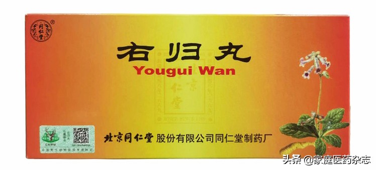 治疗缺铁性贫血的中成药片有哪些,缺铁性贫血能用中药治吗