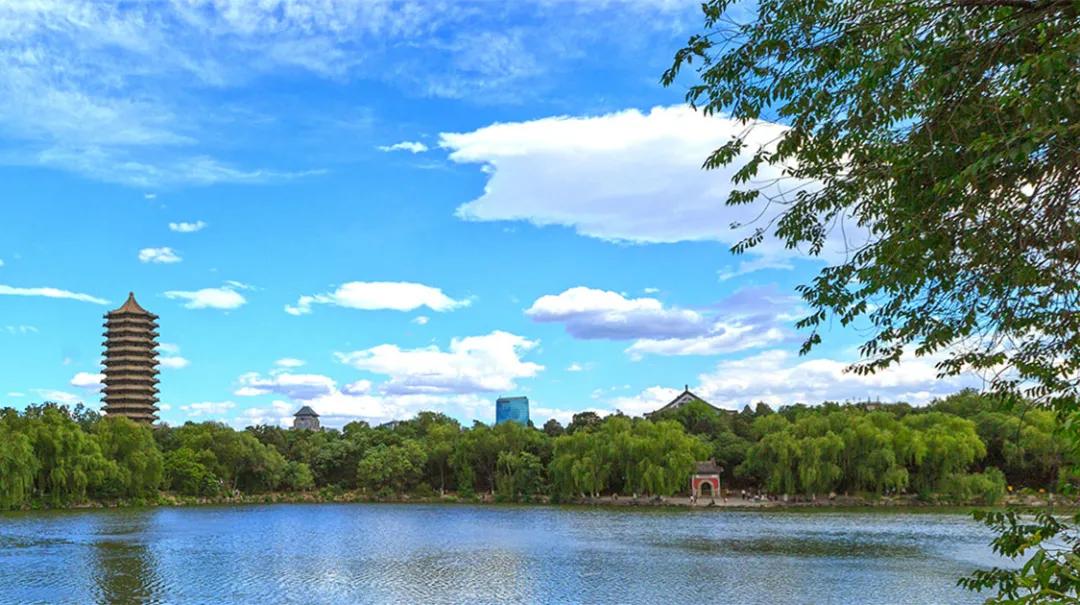 大学辅修双学位怎么选,大四辅修第二学位