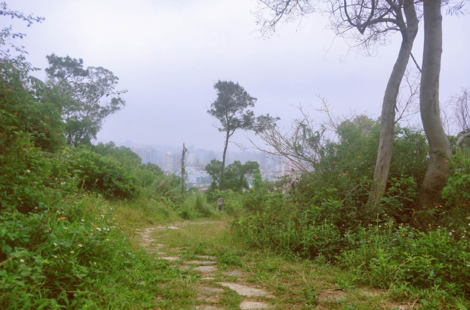 厦门园山旅游攻略,厦门游山谷