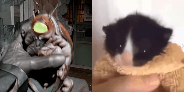 又一句国骂走红国外,被封杀的“意大利黑手”席卷油管