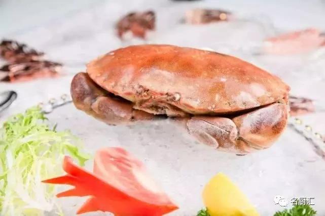 世界顶级海鲜你认识几种类型,世界顶级海鲜