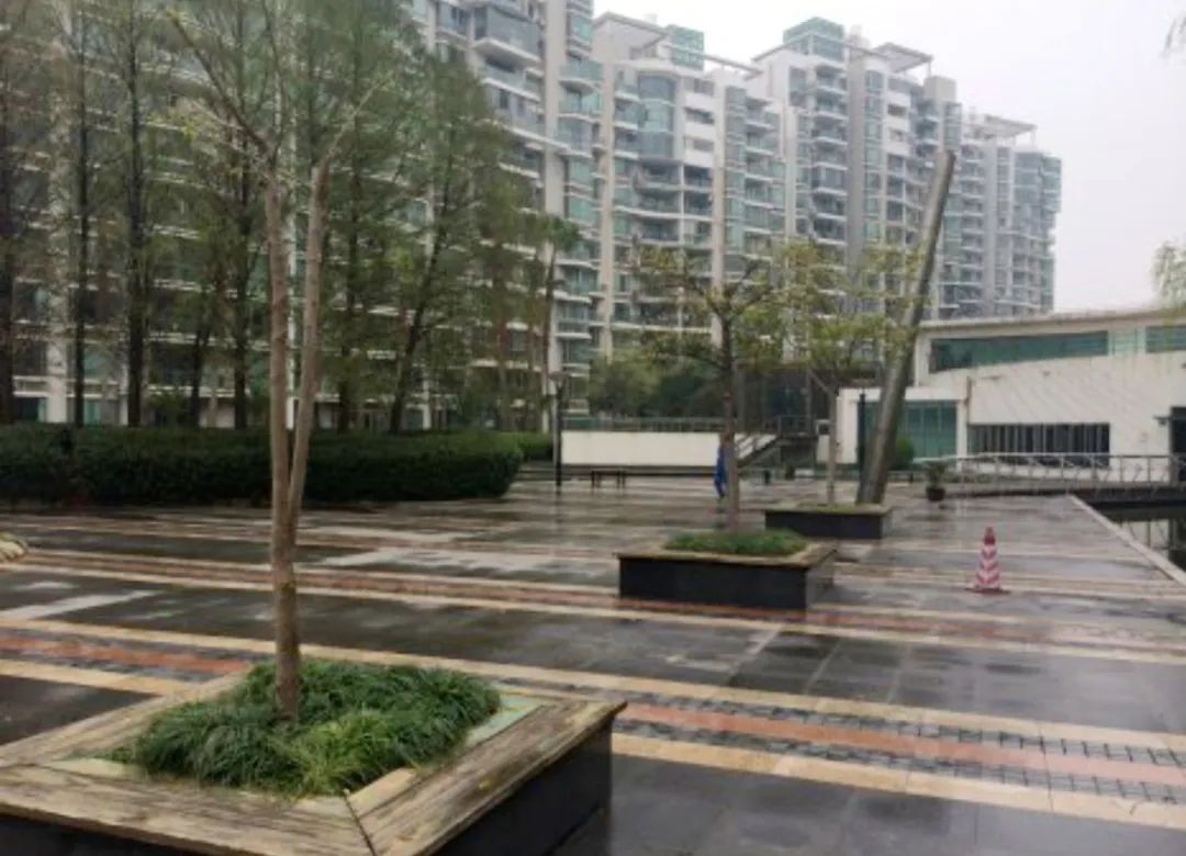 上海最容易进的十大公办小学,上海门槛低容易进的优质小学