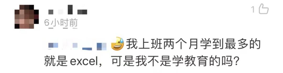 “我堂堂宾大毕业高材生,回国后竟然天天做Excel表”