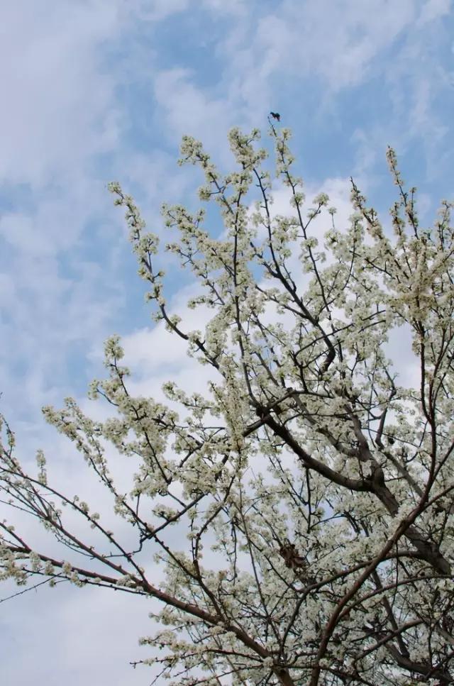 雅安旅行攻略亲子游,雅安市旅行攻略自由行路线