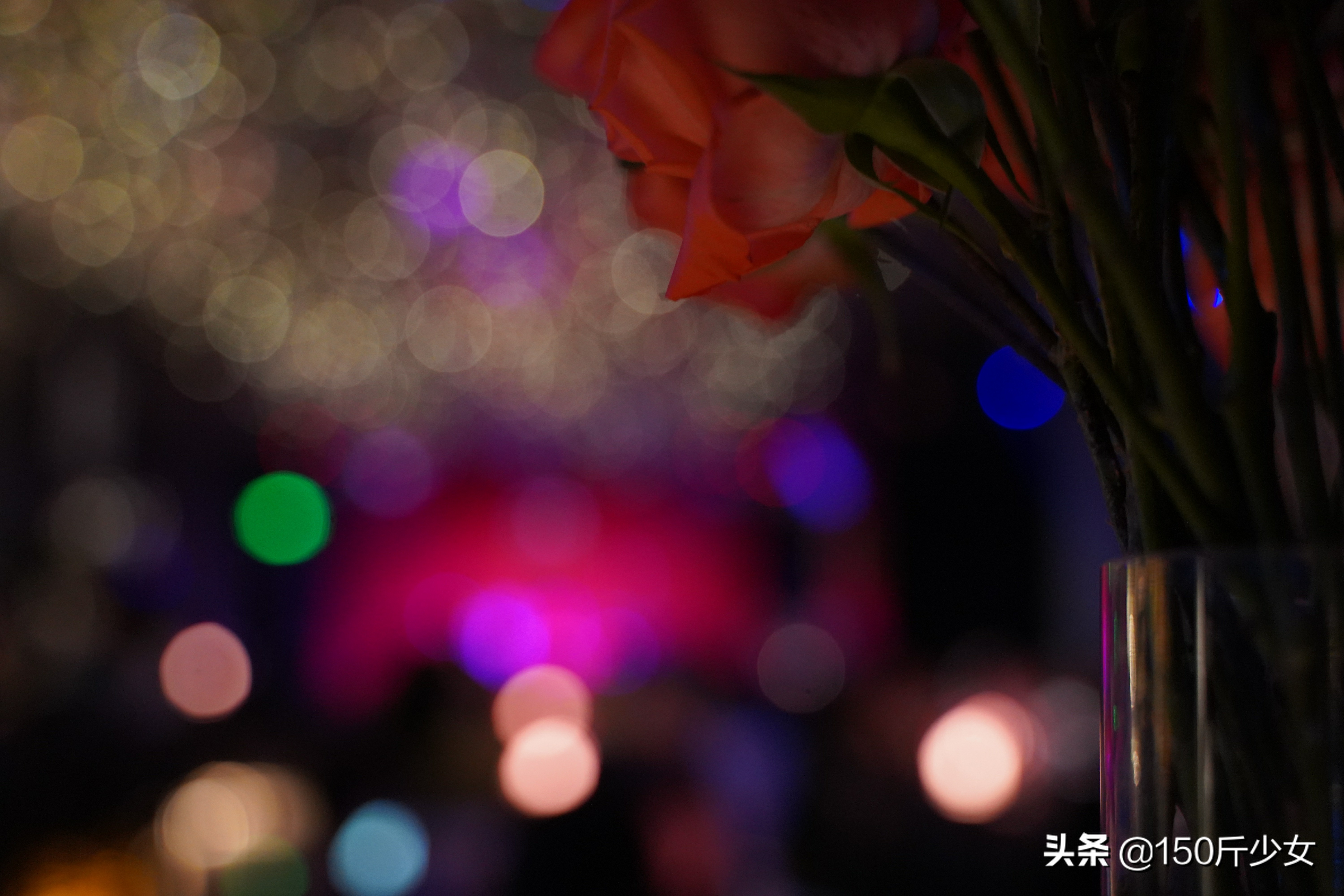 想念三亚的阳光和沙滩海浪,三亚期盼已久的大海