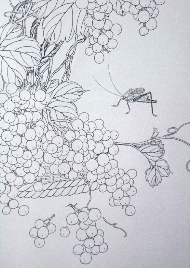 工笔勾线葡萄的画法,工笔画葡萄的上色画法步骤