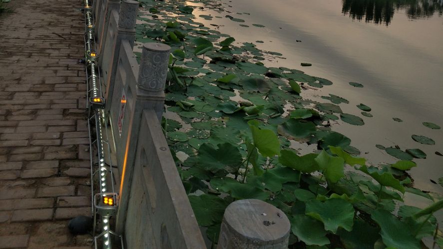 璐瑶错爱,璐瑶绑架后续