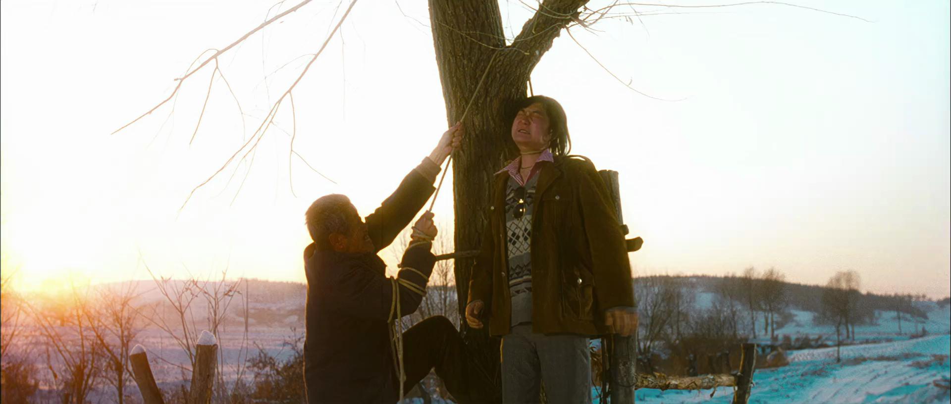 《hello!树先生》最强解析,也许树先生并不是印象中的可怜人