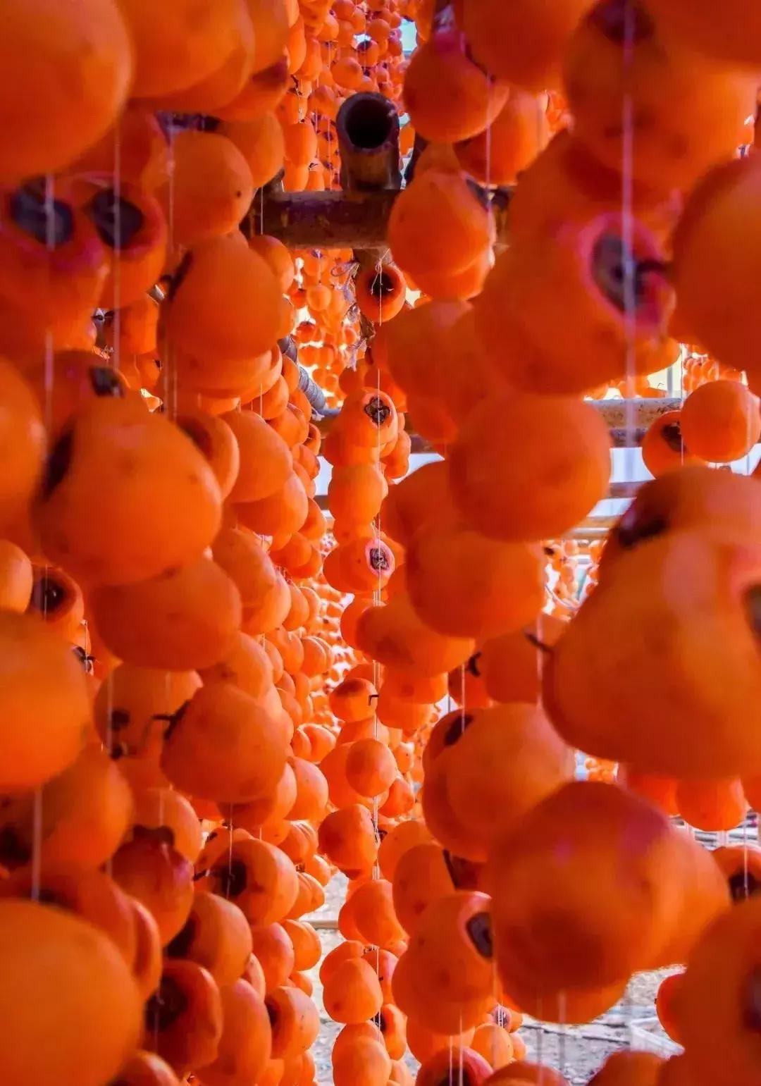 山东7月份有哪些水果可以采摘,山东10月份有什么水果可以采摘