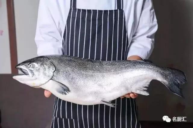 世界顶级海鲜你认识几种类型,世界顶级海鲜