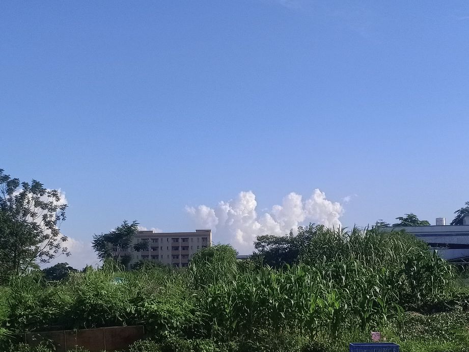 实体经济难做的情况下如何破局,实体经济低迷做什么生意