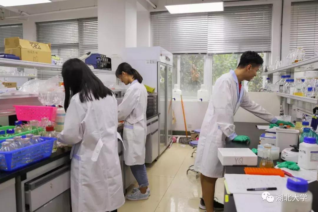 湖北大学开学第一天，湖大人上“新”了