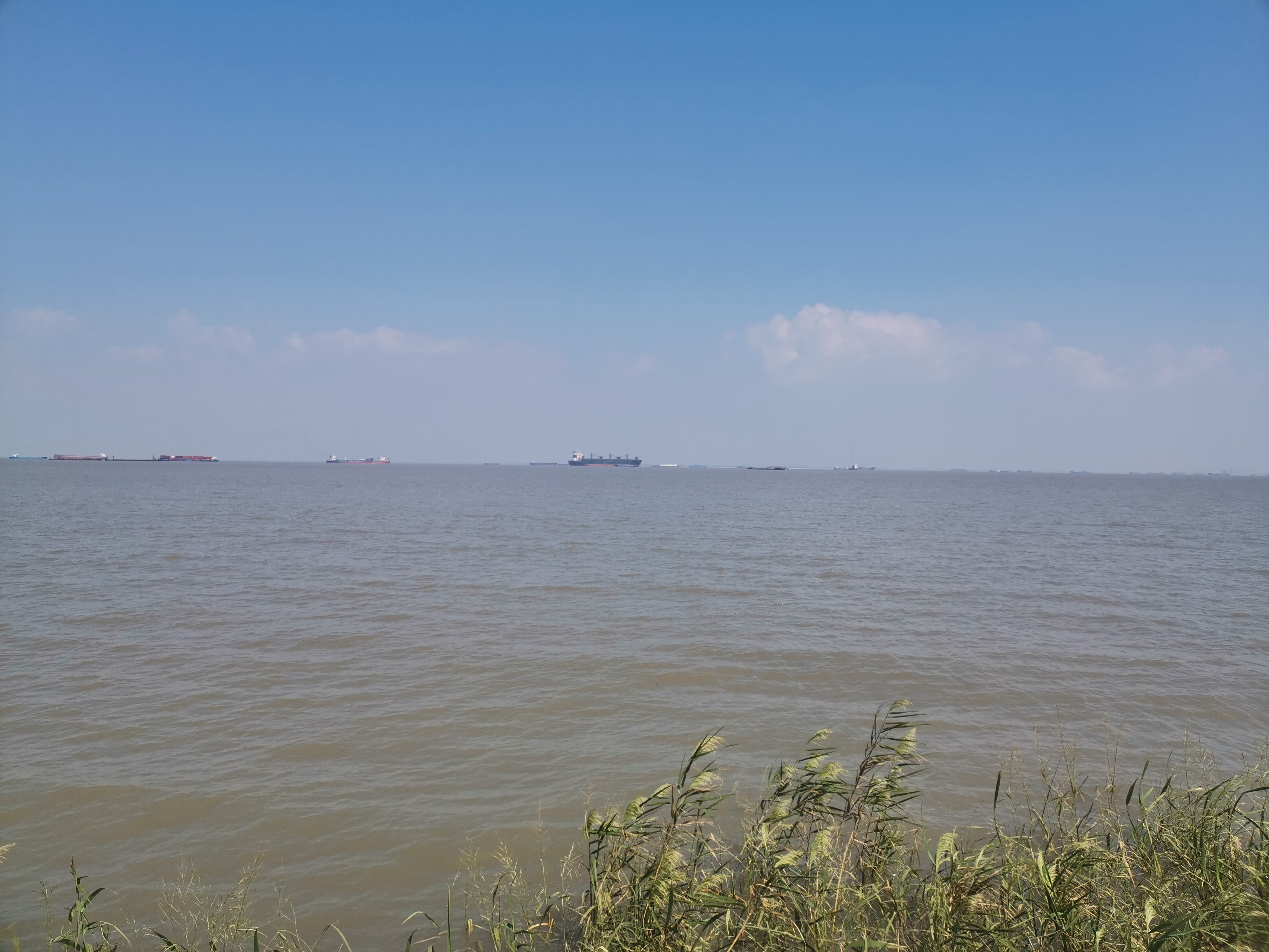 陈化成是个怎么样的人,陈化成照片