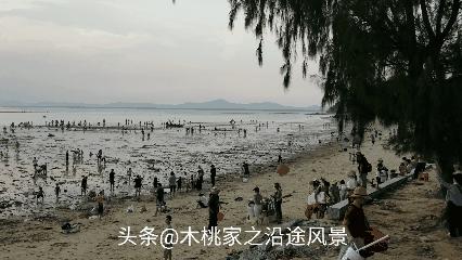 广东沙滩赶海去哪里,阳江东平镇沙滩赶海攻略