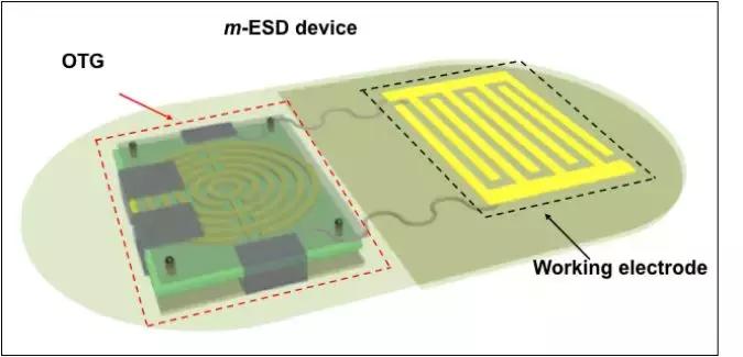 关于脱发生发的最新科技研究,生发帽治疗效果