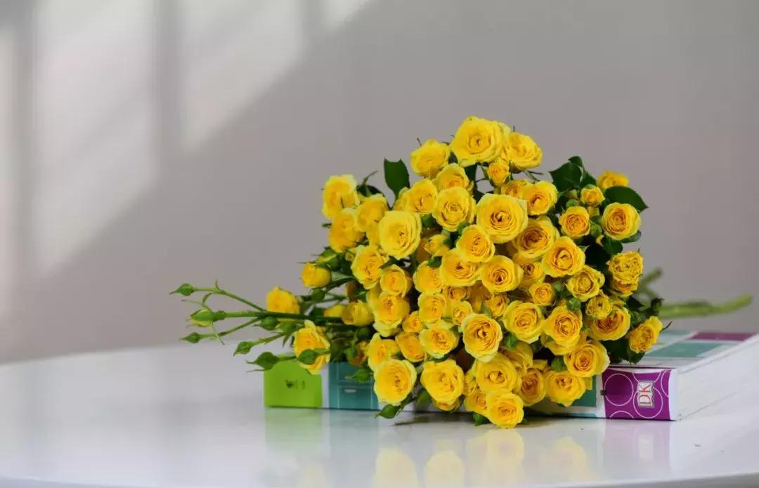 那些年你爱过的小说女配,那些年你爱过的老歌