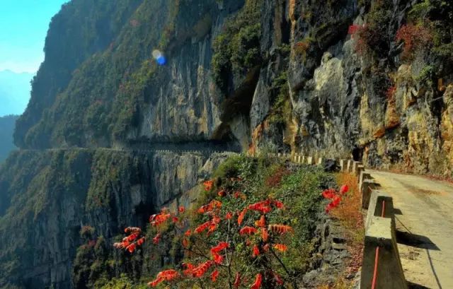 重庆的魔幻交通,重庆交通到底有多魔幻