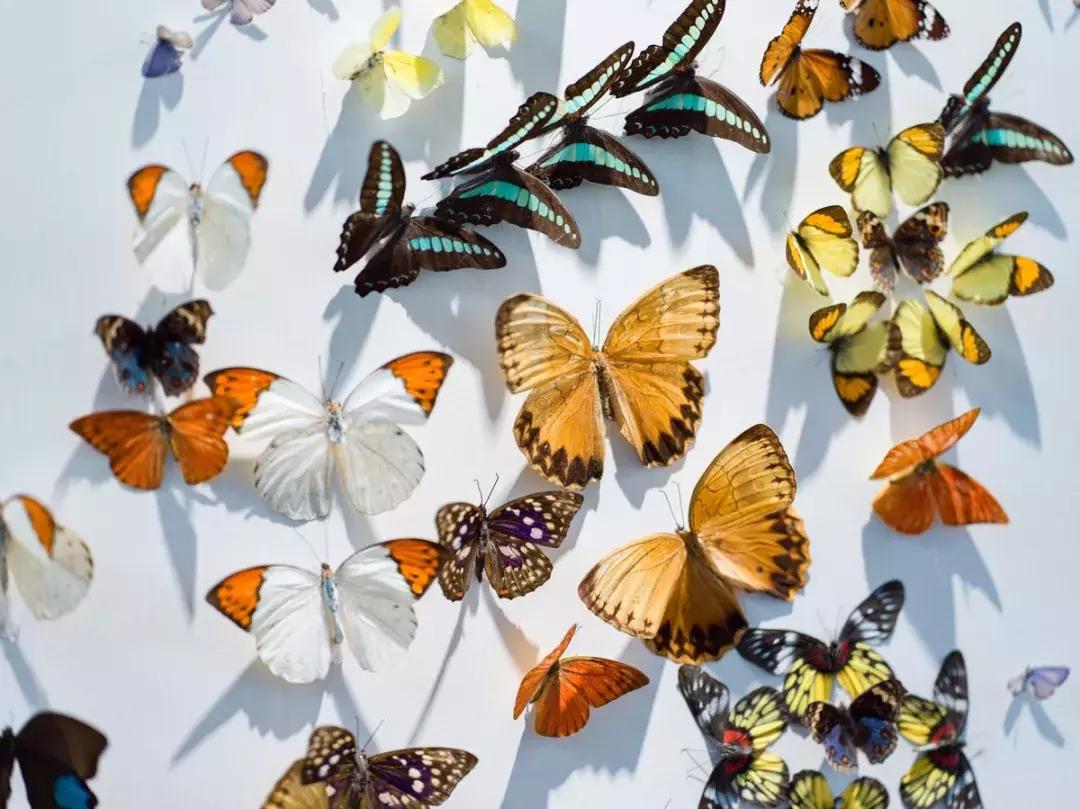 全套下来5000的相机,全套相机1000