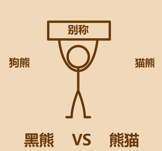 1分钟内黑熊走多远,大熊猫和黑熊谁厉害