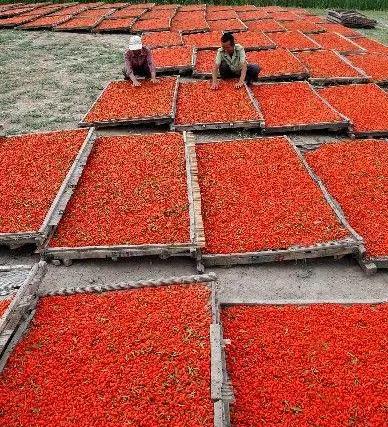 每个地方的特产在哪买,每个地方的特产产品