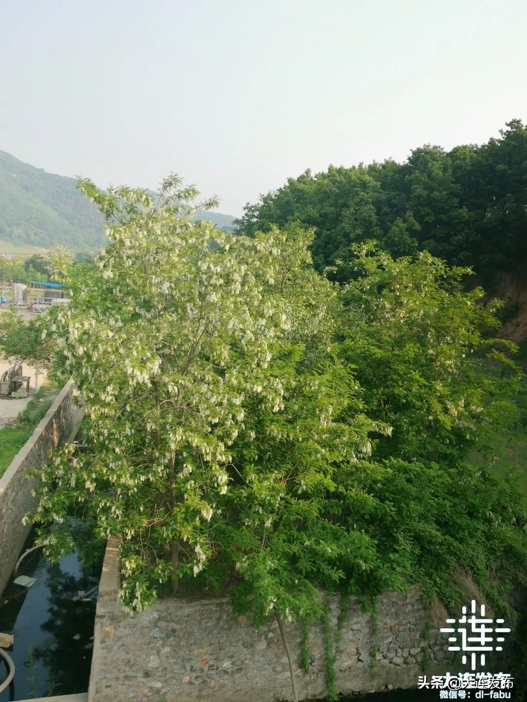 一个极美的露营地,槐之乡露营地