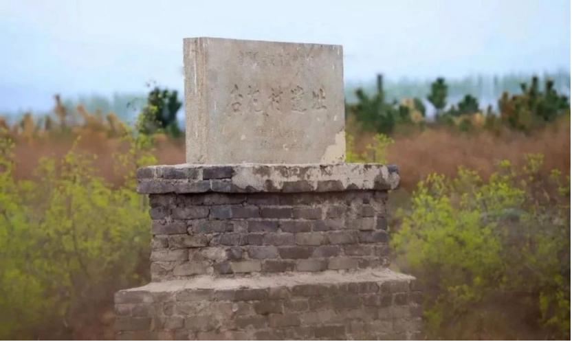 山西汾酒的发展机遇与威胁,汾酒的振兴之路