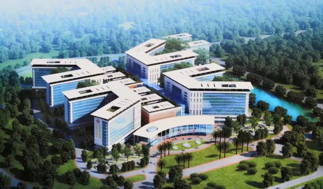 武汉最新的好消息,武汉近期好消息