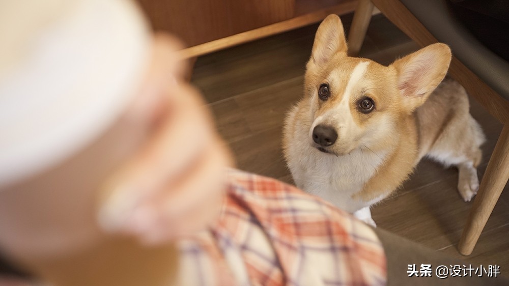广州88㎡北欧宅，设计师遇上科技控，平凡空间变身時尚智能爱巢
