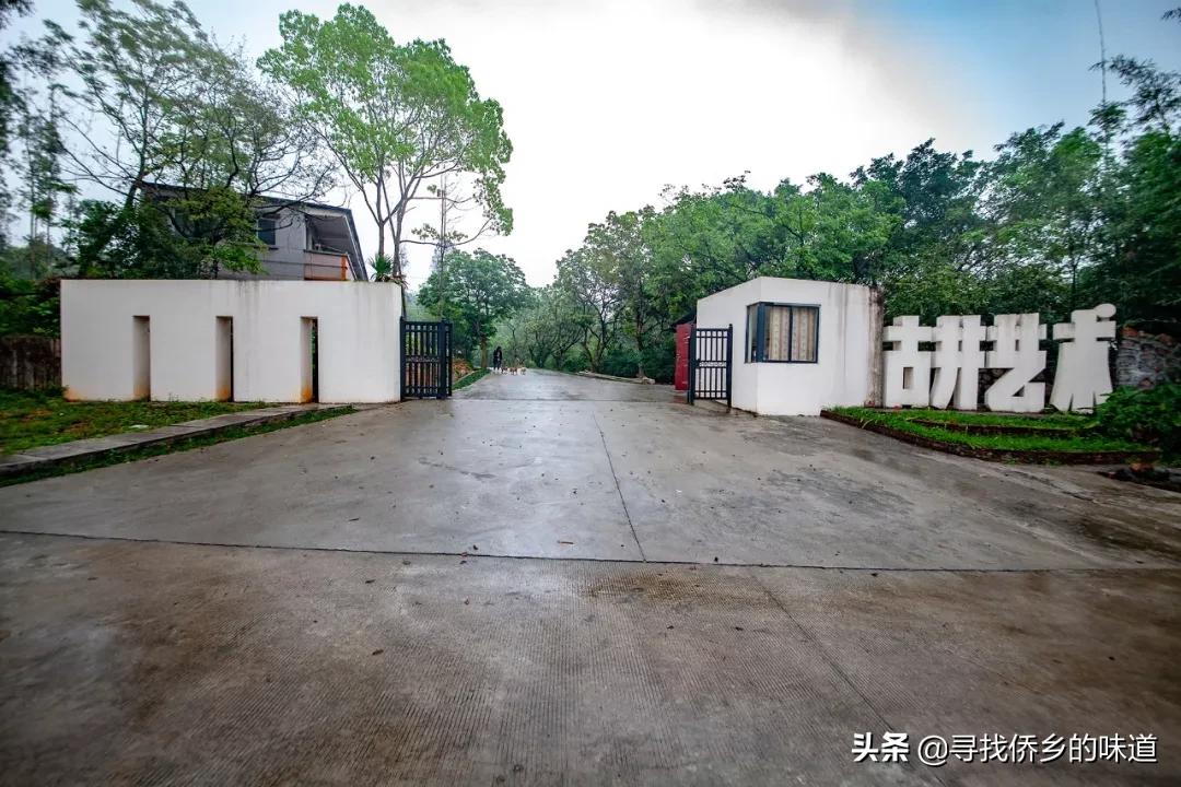 广东江门古老村庄,新会古井皇族村