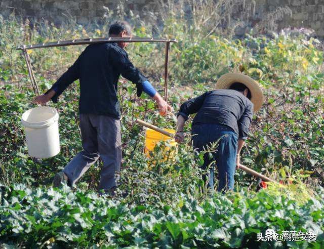 原生态山村农家,山村农家木瓦房