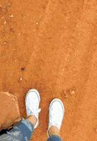 生物老师是女的,生物老师是个女的