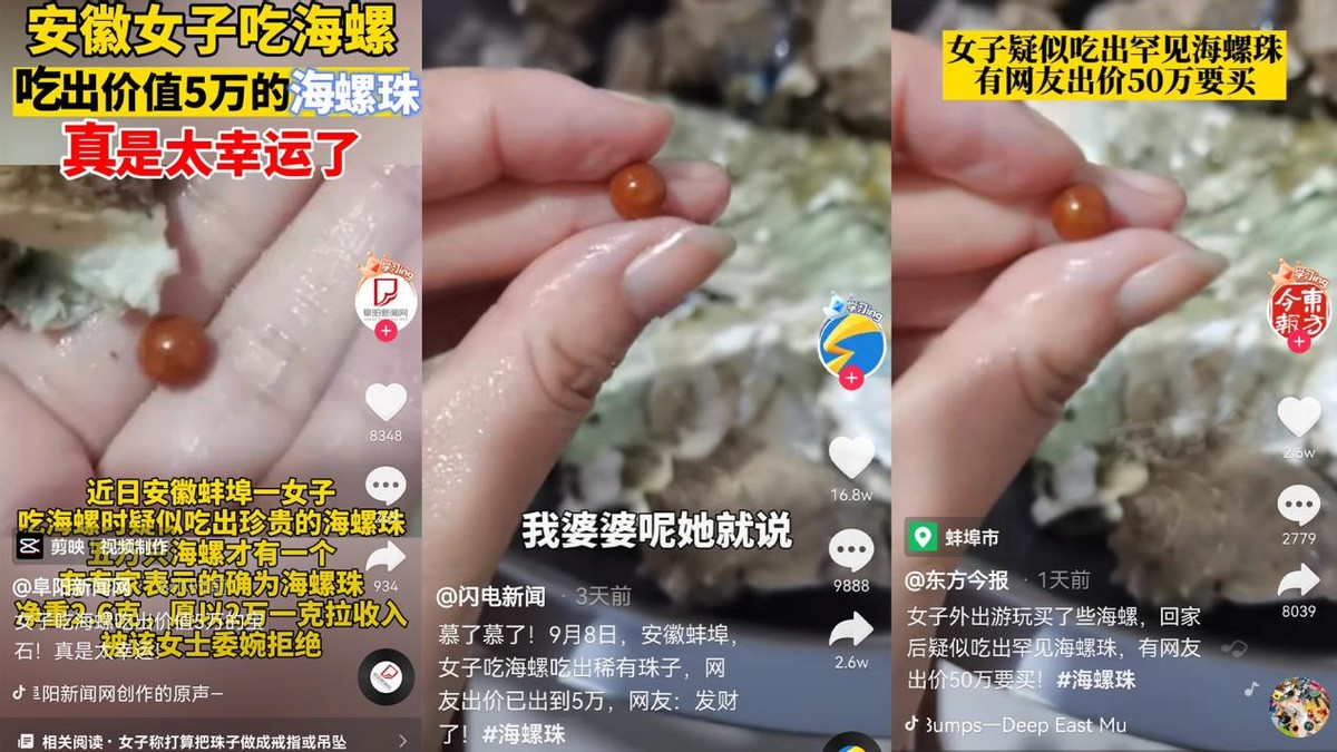 砗磲圆珍珠,贝壳珠和砗磲珠有什么区别