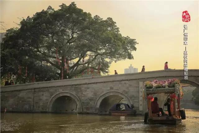 广州早茶看粤剧,老广州早茶听粤剧