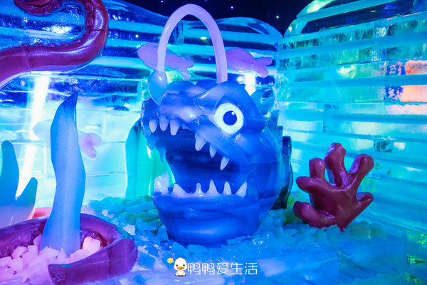 厦门遛娃旅游攻略,厦门方特带小孩有什么好玩的