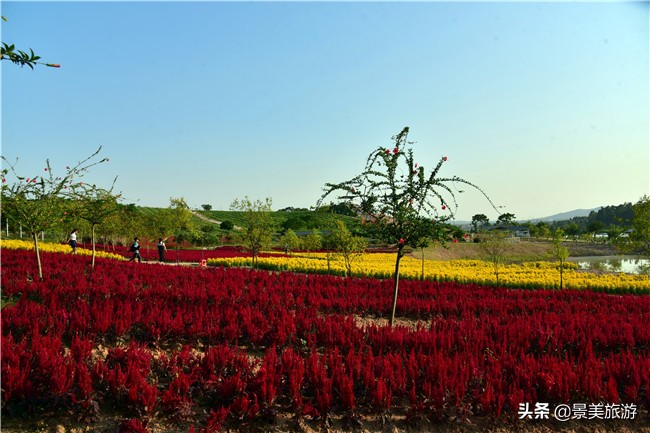 花都区美林湖度假区,花都美林湖风景