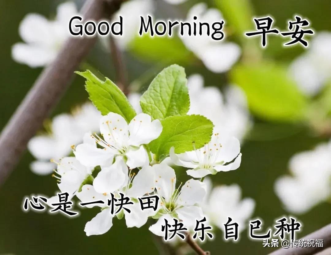 走得太急脚太累女生完整版说说,心累了早安