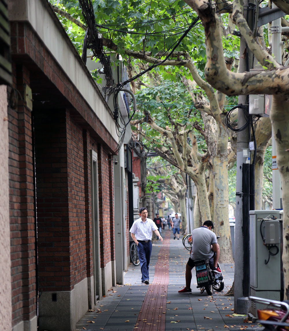 静雅碧螺红茶,静雅武夷