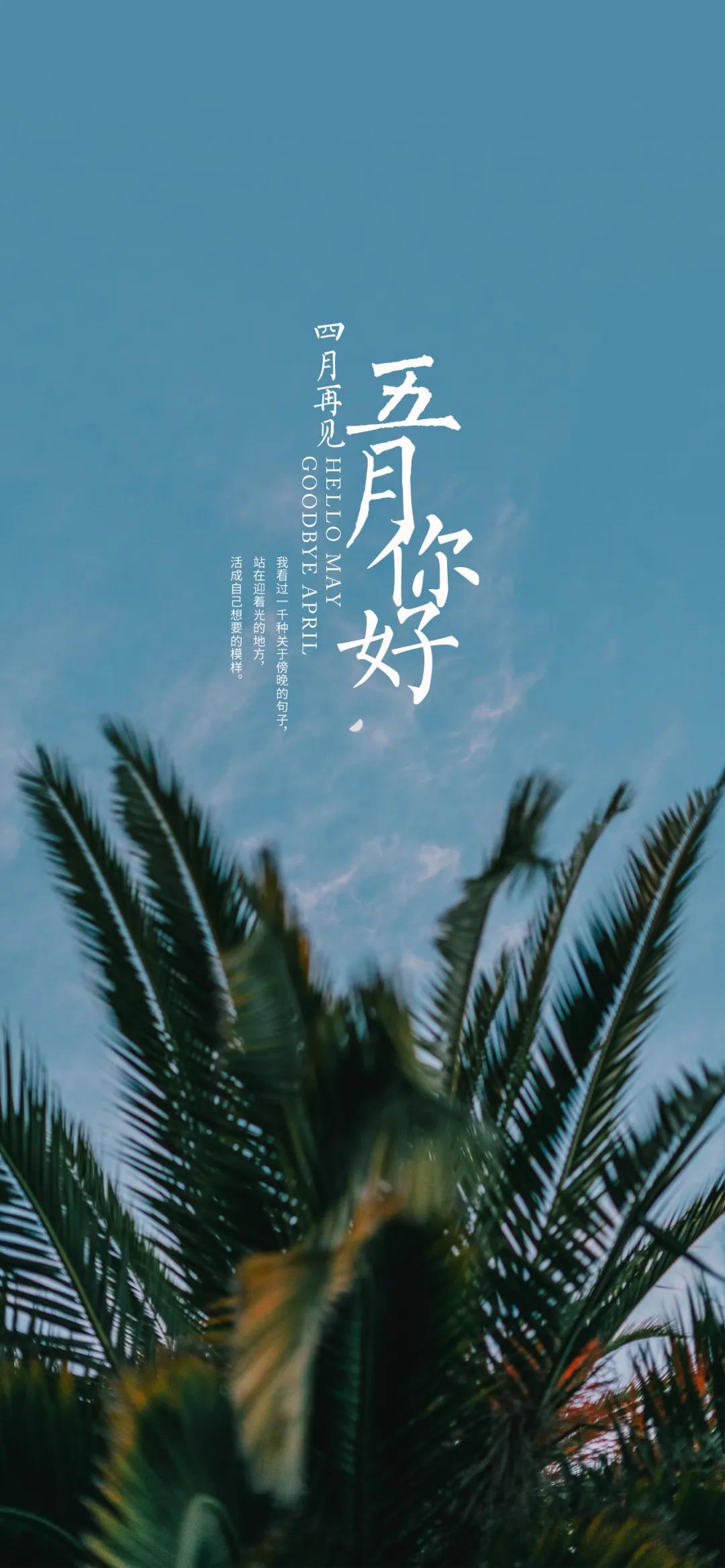 我爱中国人民警察壁纸,我爱壁纸