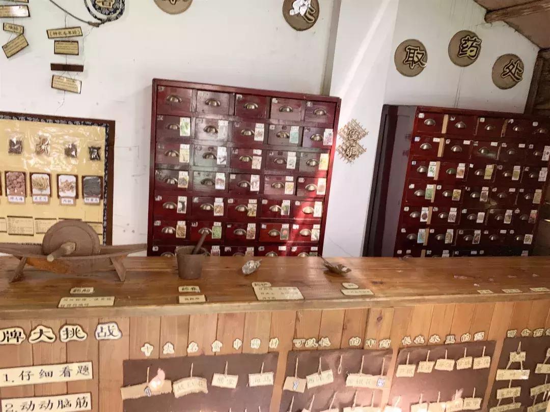 考察蒙氏幼儿园需要了解什么,蒙氏幼儿园东北探园