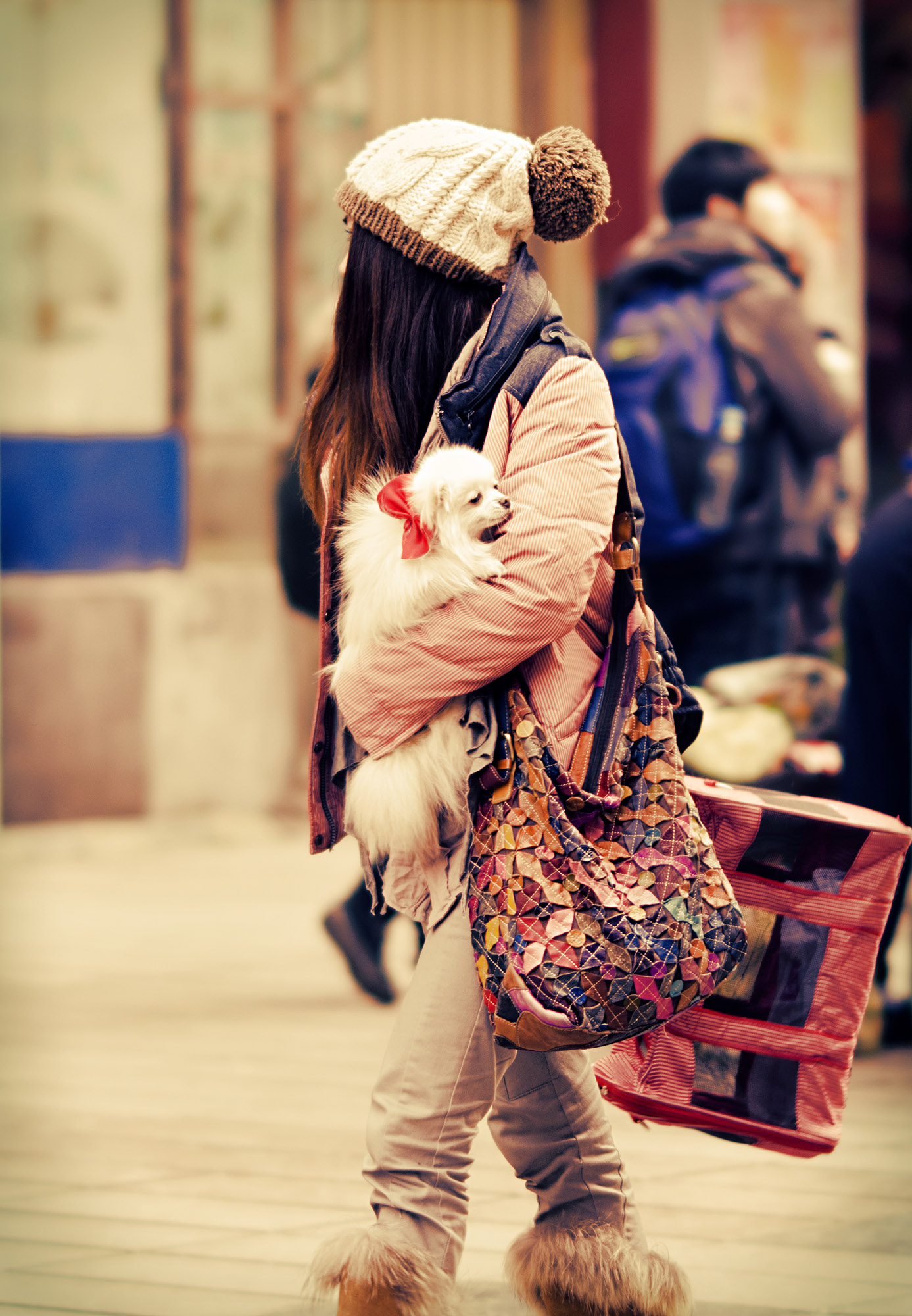 尼康d7000和手机拍照哪个清晰,尼康相机推荐新手入门d7000