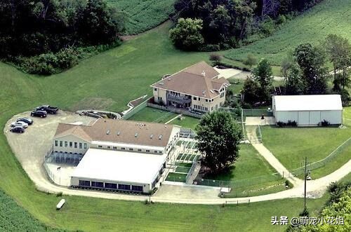 去犬舍买狗如何避免被坑,犬舍买狗注意事项