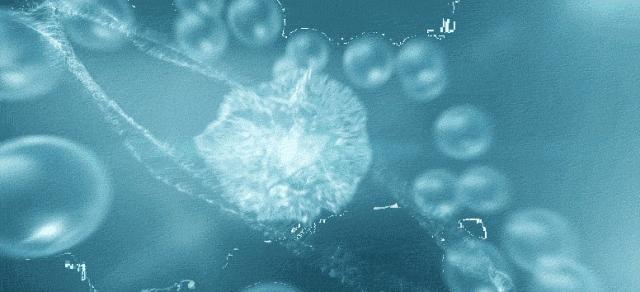 别光顾着脸白，身体皮肤也别落下。羊奶沐浴露让你肌肤嫩又白