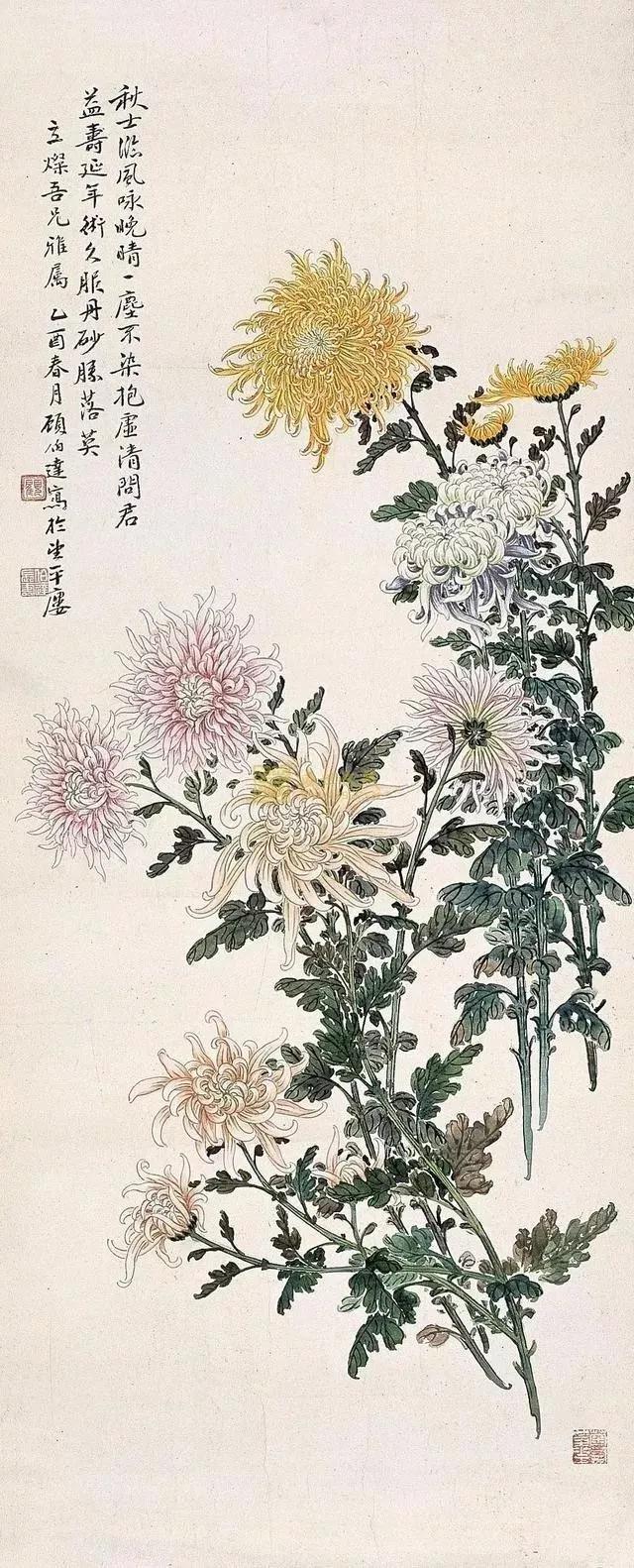 淡雅菊花国画100幅临摹,国画深秋菊花风景写意